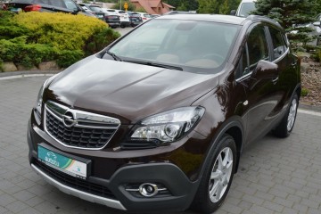 1,6 CDTI 136 KM BOSE BI-Xenon Kamera Klimatronik