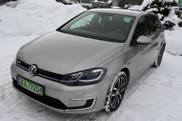 136 KM FULL LED Nawigacja Serwisowany Zarejestrowany